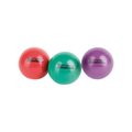 Aeromat AeroMat 35920 3.6 in. Mini Weight Ball - Purple; 3 lbs & Pack of 2 35920